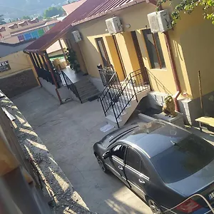 Two Lions *** Tiflis
